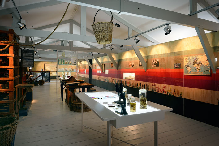 ATELIER Alkema | Museum de Zwarte Tulp